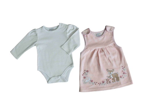 Two Piece Cute Newborn Baby Clothes Baby Girl Velvet Dress Rabbit Flowers Deer Embroidery